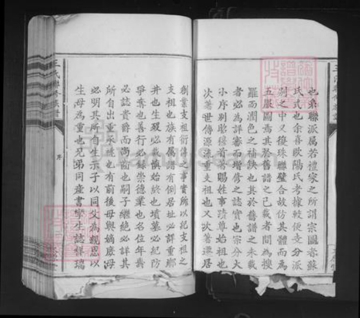 江西省王氏太原堂族谱-王氏联修族谱.pdf电子版插图3