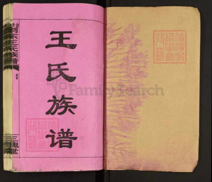 江西省吉安市永丰县王氏三槐堂族谱-金塘湾浏东王氏族谱.pdf电子版插图1