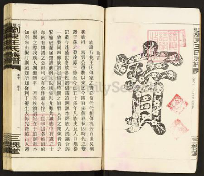 江西省吉安市永丰县王氏三槐堂族谱-金塘湾浏东王氏族谱.pdf电子版插图4