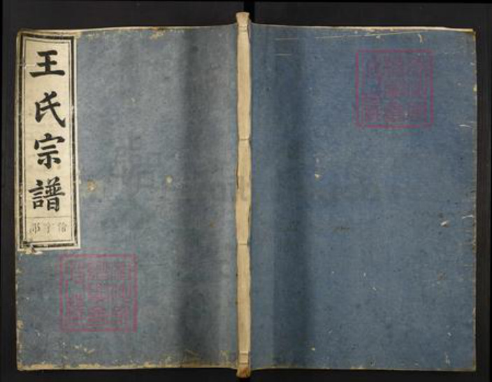 湖南省常德市桃源县王氏存心堂族谱-梓林王氏宗谱.pdf电子版插图