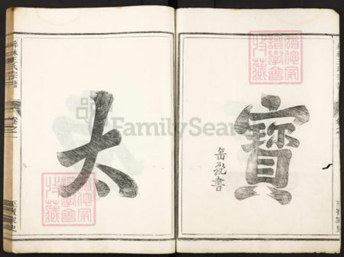 湖南省常德市桃源县王氏存心堂族谱-梓林王氏宗谱.pdf电子版插图2