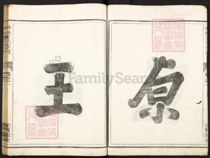 湖南省常德市桃源县王氏存心堂族谱-梓林王氏宗谱.pdf电子版插图3