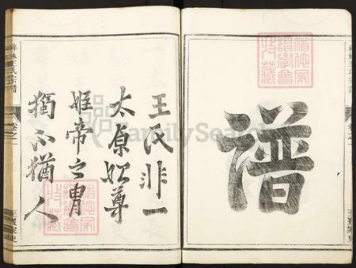 湖南省常德市桃源县王氏存心堂族谱-梓林王氏宗谱.pdf电子版插图5