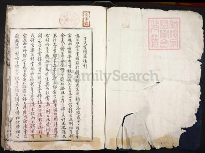 江西省吉安市泰和市王氏族谱-梅岗王氏宗谱.pdf电子版插图1