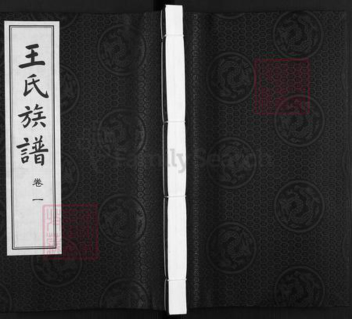 江苏省扬州市江都区大桥镇王氏三槐堂族谱-王氏族谱.pdf电子版插图
