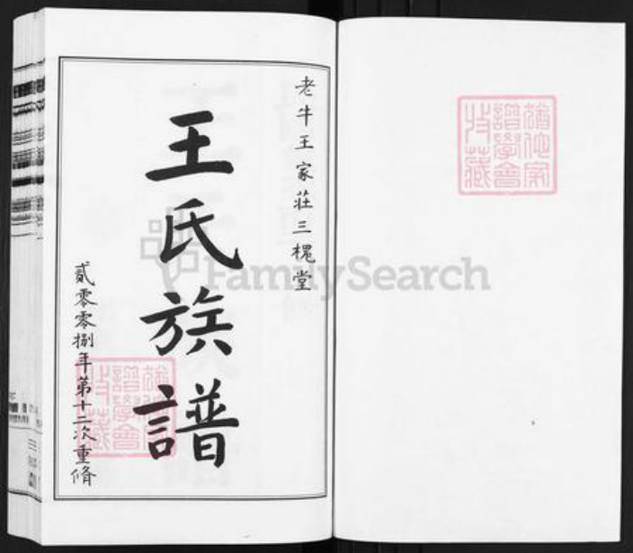 江苏省扬州市江都区大桥镇王氏三槐堂族谱-王氏族谱.pdf电子版插图1
