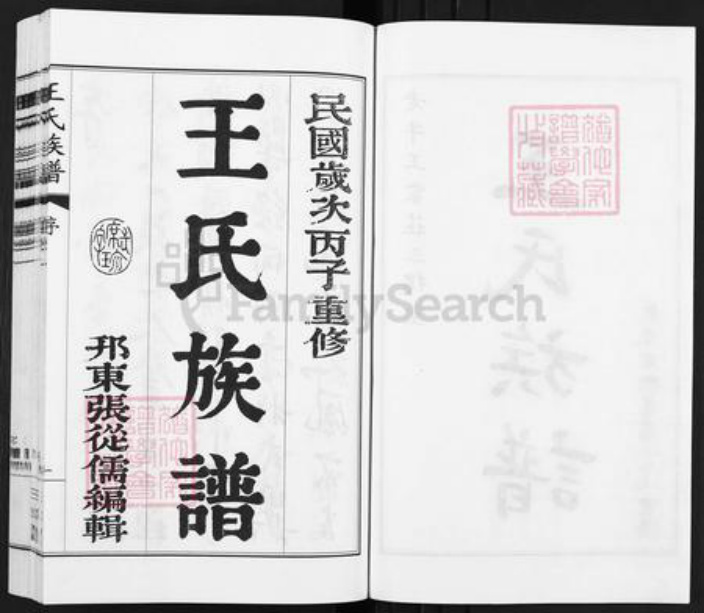 江苏省扬州市江都区大桥镇王氏三槐堂族谱-王氏族谱.pdf电子版插图2