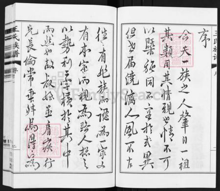 江苏省扬州市江都区大桥镇王氏三槐堂族谱-王氏族谱.pdf电子版插图3