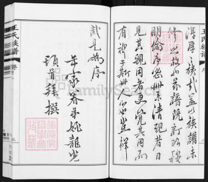 江苏省扬州市江都区大桥镇王氏三槐堂族谱-王氏族谱.pdf电子版插图4