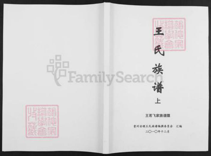 贵州省安顺市普定县王氏三槐堂族谱-王氏族谱.王若飞家族谱牒.pdf电子版插图