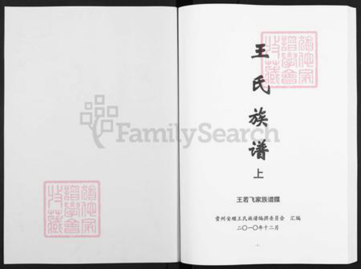 贵州省安顺市普定县王氏三槐堂族谱-王氏族谱.王若飞家族谱牒.pdf电子版插图1