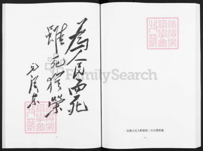 贵州省安顺市普定县王氏三槐堂族谱-王氏族谱.王若飞家族谱牒.pdf电子版插图5