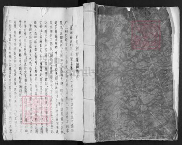 河南省新乡市长垣县王氏族谱-王氏家谱.pdf电子版插图
