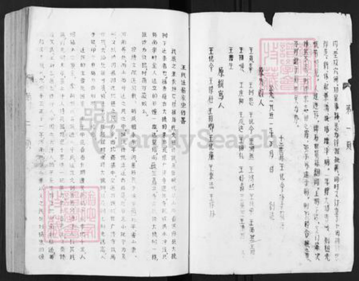 河南省新乡市长垣县王氏族谱-王氏家谱.pdf电子版插图1