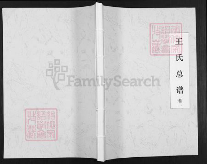 湖南省邵阳市武冈市武冈王氏三槐堂族谱-王氏总谱.pdf电子版插图