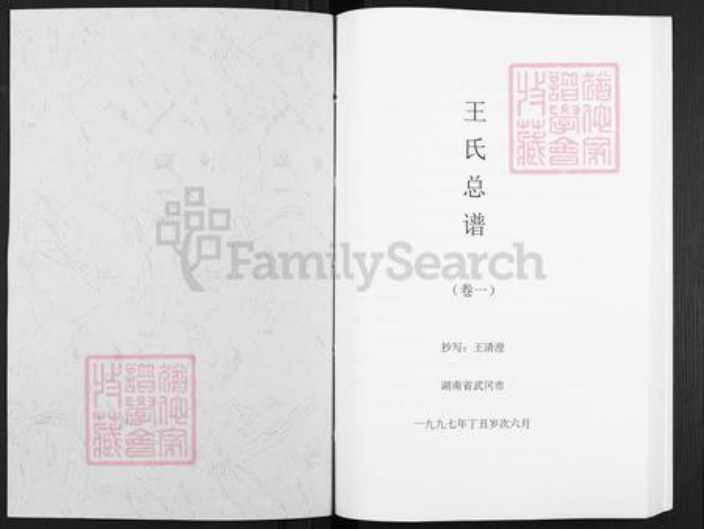 湖南省邵阳市武冈市武冈王氏三槐堂族谱-王氏总谱.pdf电子版插图1