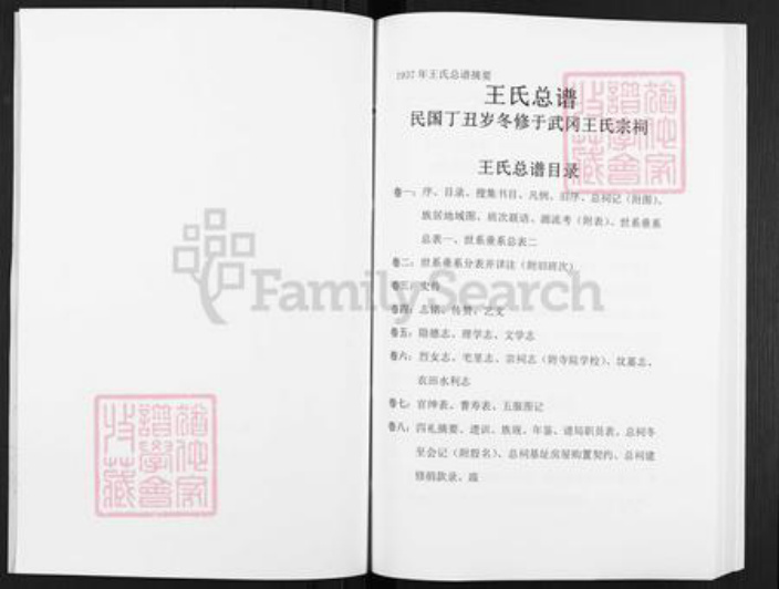 湖南省邵阳市武冈市武冈王氏三槐堂族谱-王氏总谱.pdf电子版插图2