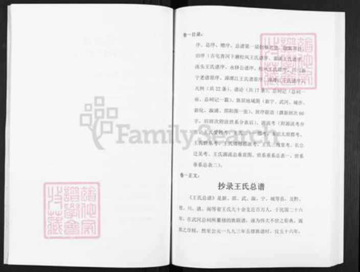 湖南省邵阳市武冈市武冈王氏三槐堂族谱-王氏总谱.pdf电子版插图3