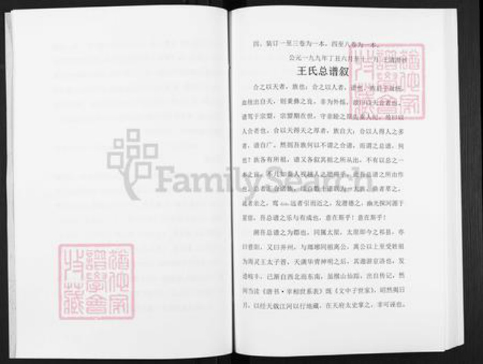湖南省邵阳市武冈市武冈王氏三槐堂族谱-王氏总谱.pdf电子版插图5