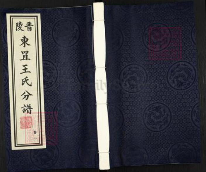 江苏省常州市武进县王氏德符堂族谱-晋陵东罝王氏分谱.pdf电子版插图