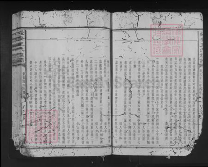福建省三明市建宁县王氏族谱-绥安王氏族谱.pdf电子版插图3