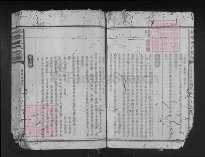 福建省三明市建宁县王氏族谱-绥安王氏族谱.pdf电子版插图5