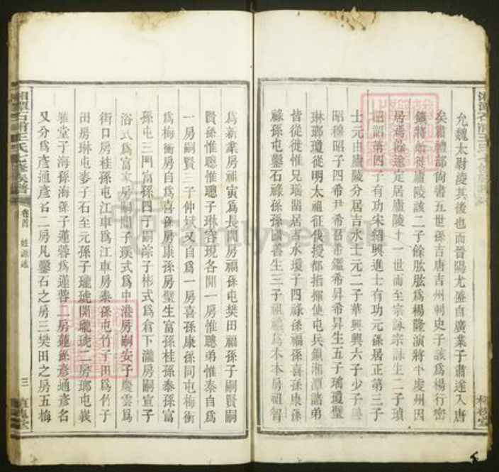 湖南省湘潭市湘潭县王氏植槐堂族谱-湘潭石浦王氏七修族谱.pdf电子版插图4