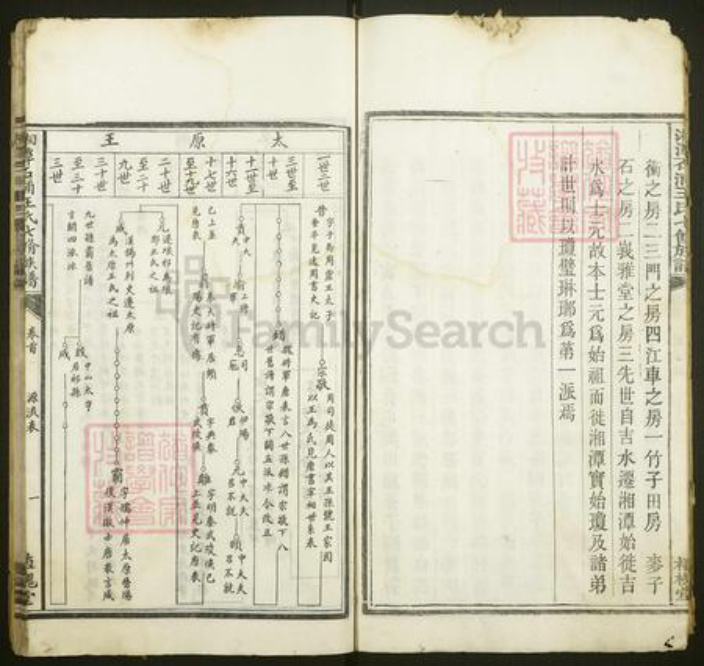 湖南省湘潭市湘潭县王氏植槐堂族谱-湘潭石浦王氏七修族谱.pdf电子版插图5
