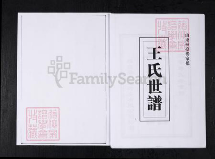山东省淄博市桓台县王氏族谱-王氏世谱.山东桓台杨家村.pdf电子版插图