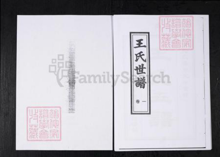山东省淄博市桓台县王氏族谱-王氏世谱.山东桓台杨家村.pdf电子版插图1