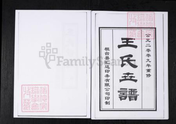 山东省淄博市桓台县王氏族谱-王氏世谱.山东桓台杨家村.pdf电子版插图2