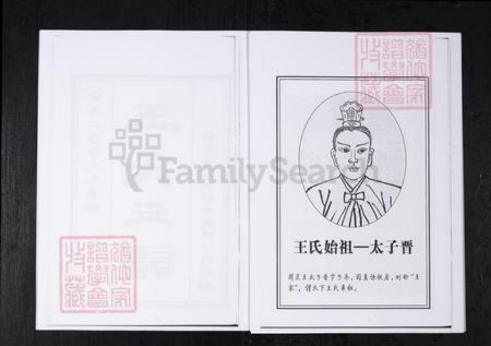 山东省淄博市桓台县王氏族谱-王氏世谱.山东桓台杨家村.pdf电子版插图3