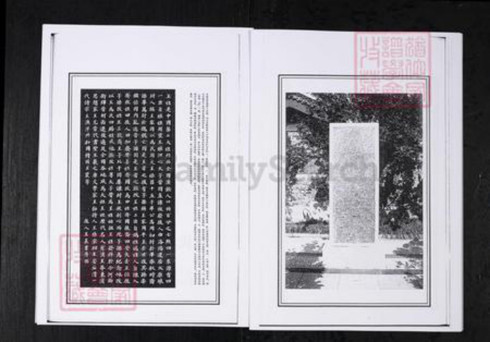 山东省淄博市桓台县王氏族谱-王氏世谱.山东桓台杨家村.pdf电子版插图4