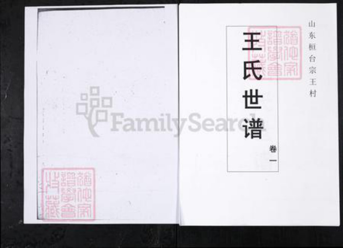 山东省淄博市桓台县王氏族谱-王氏世谱.山东桓台宗王村[4卷].pdf电子版插图