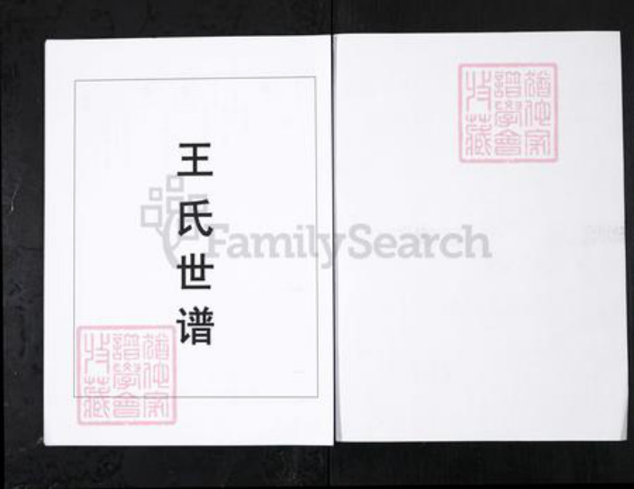 山东省淄博市桓台县王氏族谱-王氏世谱.山东桓台宗王村[4卷].pdf电子版插图1