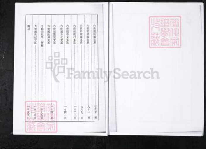 山东省淄博市桓台县王氏族谱-王氏世谱.山东桓台宗王村[4卷].pdf电子版插图3