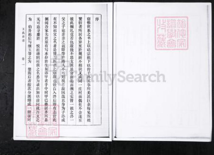 山东省淄博市桓台县王氏族谱-王氏世谱.山东桓台宗王村[4卷].pdf电子版插图4