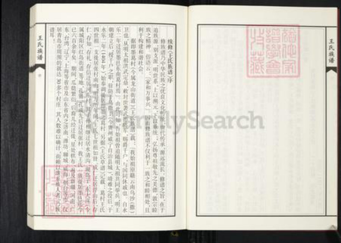 山东省青岛市王氏族谱-张村王氏族谱.pdf电子版插图4