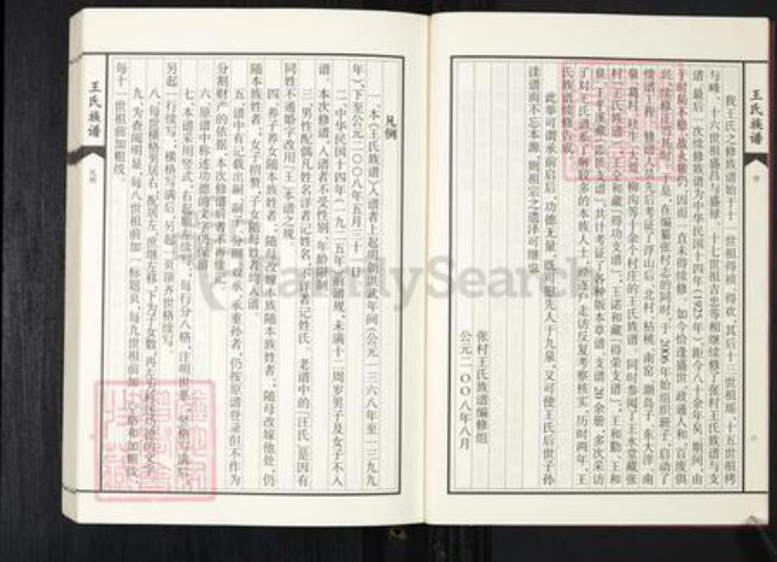 山东省青岛市王氏族谱-张村王氏族谱.pdf电子版插图5
