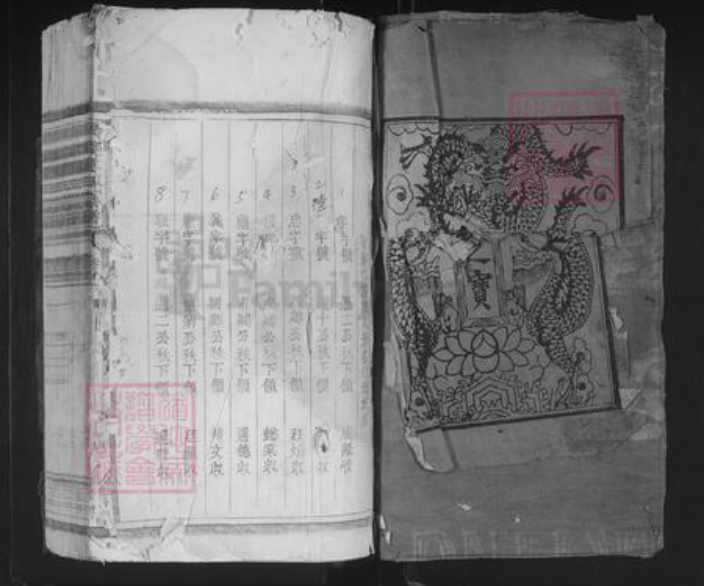江西省上饶市鄱阳县王氏族谱-琅琊王氏宗谱.pdf电子版插图1