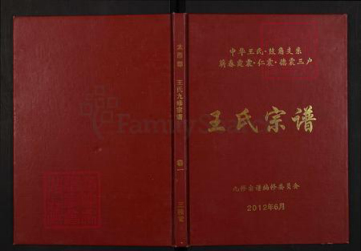 湖北省黄冈市黄梅县王氏三槐堂族谱-王氏宗谱.pdf电子版插图