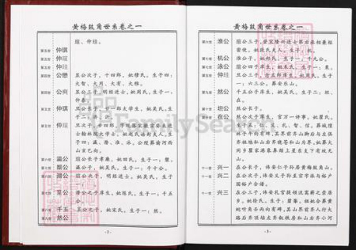 湖北省黄冈市黄梅县王氏三槐堂族谱-王氏宗谱.pdf电子版插图3