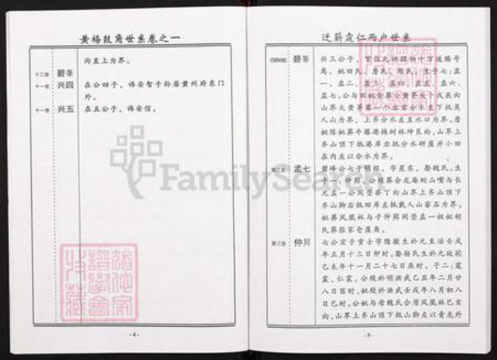 湖北省黄冈市黄梅县王氏三槐堂族谱-王氏宗谱.pdf电子版插图4