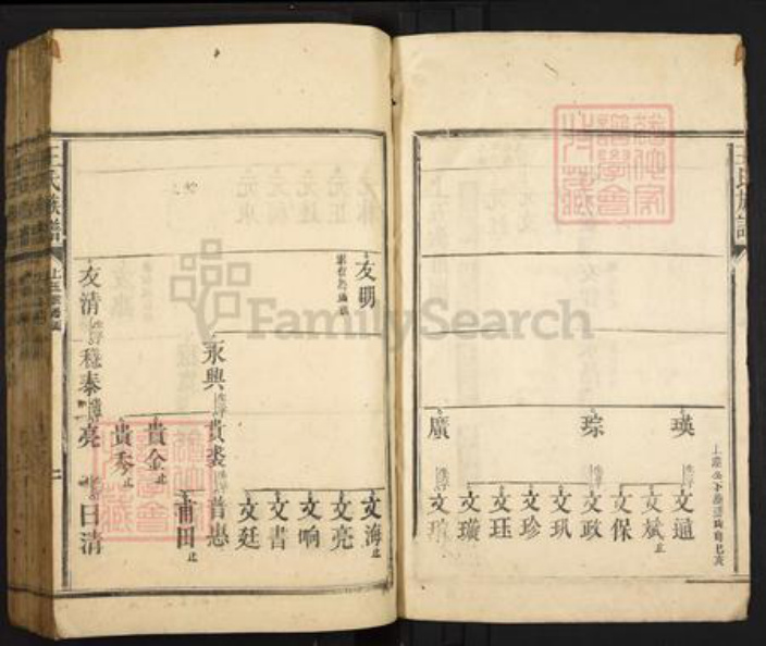 广东省韶关市仁化县大桥镇王氏族谱-王氏族谱.pdf电子版插图2