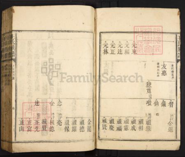 广东省韶关市仁化县大桥镇王氏族谱-王氏族谱.pdf电子版插图3