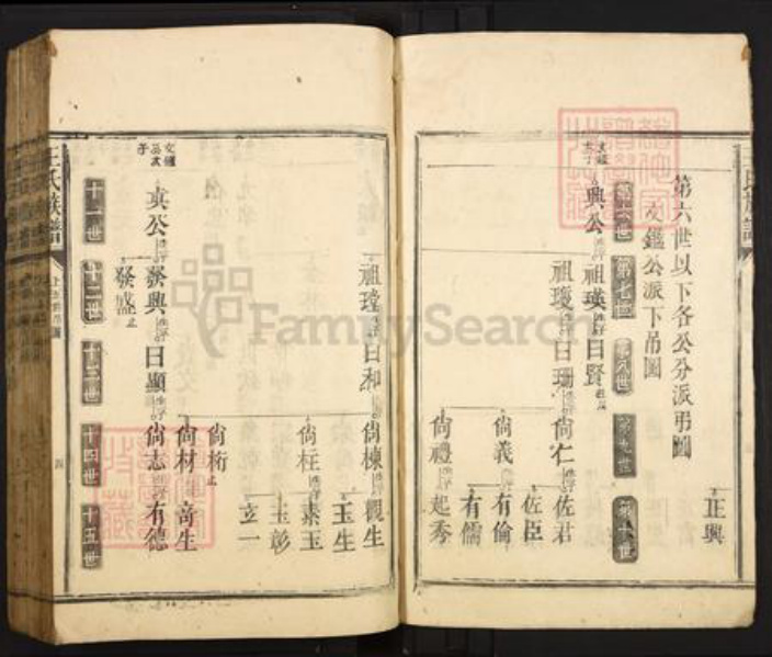 广东省韶关市仁化县大桥镇王氏族谱-王氏族谱.pdf电子版插图4