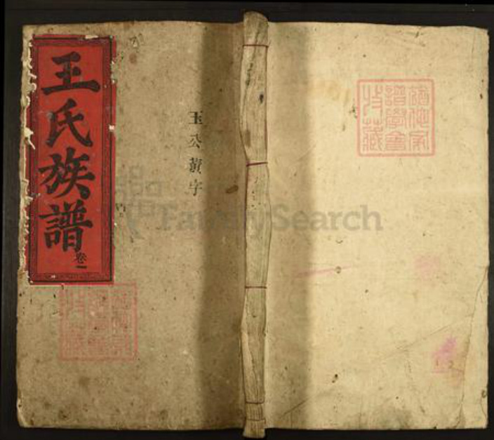 广东省韶关市仁化县大桥镇王氏太原堂族谱-王氏族谱.pdf电子版插图