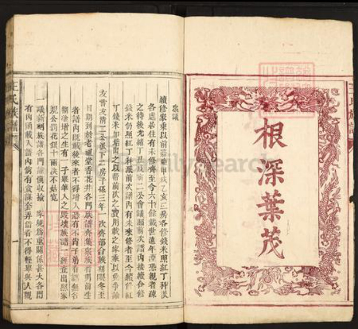 广东省韶关市仁化县大桥镇王氏太原堂族谱-王氏族谱.pdf电子版插图2