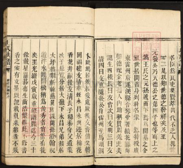 广东省韶关市仁化县大桥镇王氏太原堂族谱-王氏族谱.pdf电子版插图4