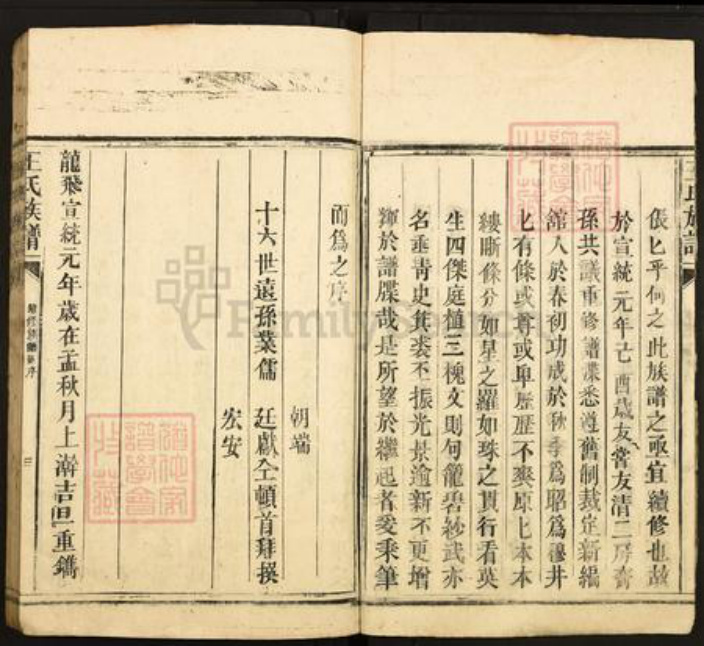 广东省韶关市仁化县大桥镇王氏太原堂族谱-王氏族谱.pdf电子版插图5